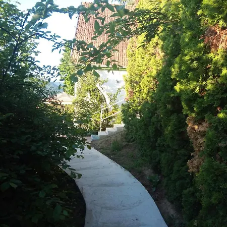 V4 Kilatoterasz Foeldszint * Nagymaros