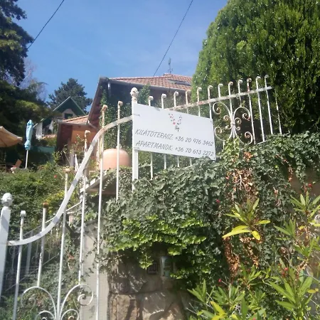 V4 Kilatoterasz Foeldszint